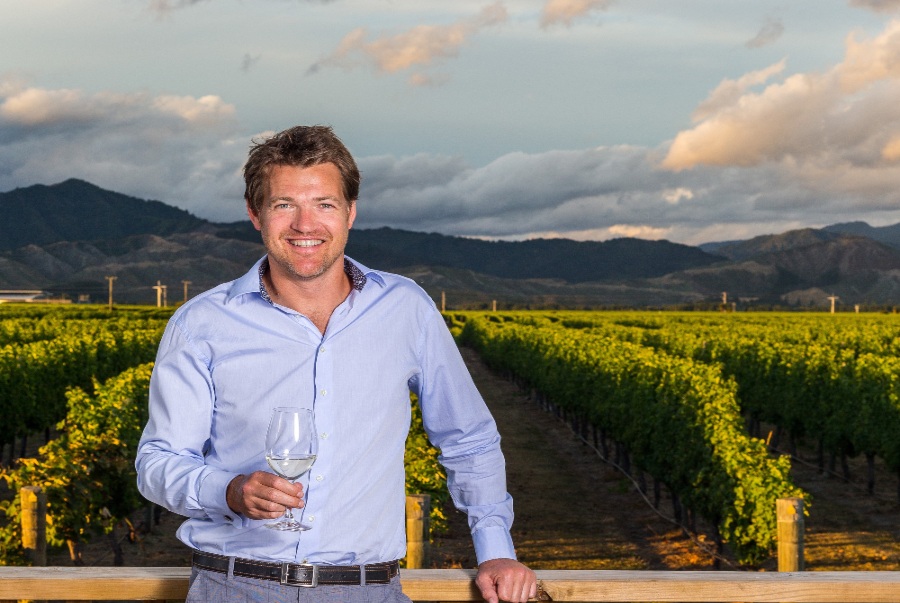 Accolade Wines new marketing director Jack Glover settles in Sydney